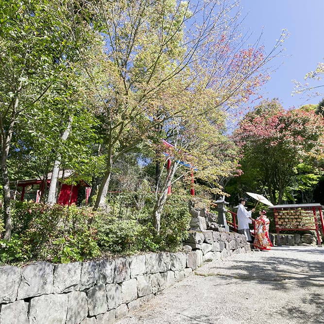 美優館のお客様の声