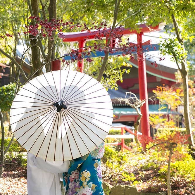 美優館のお客様の声